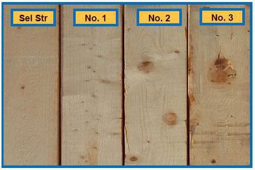 Впечатляющие особенности древесины