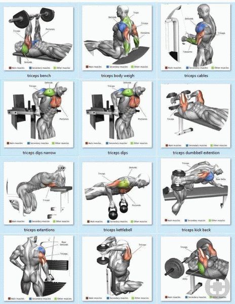 Как накачать трицепс в зале