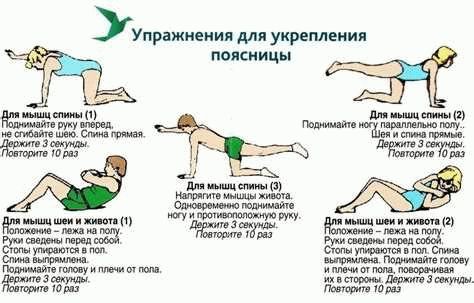 Упражнения, используемые в тренинге кора