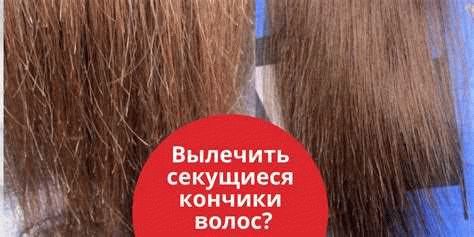 Определение и причины сечения волос