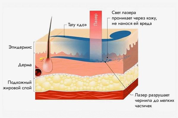 Показания к применению