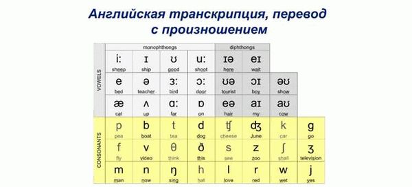 Порошок в медицине и фармакологии: суть и цель использования