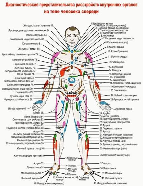 Рекомендации по массажу стоп