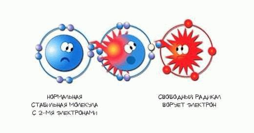 Свободные радикалы и оксиданты