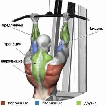 Структура тренировки и силовых упражнений